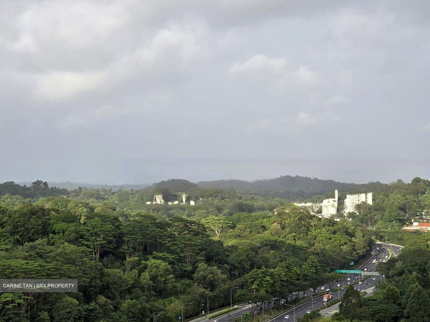 Bukit Timah Plaza / Sherwood Towers (D21), Apartment #469773981